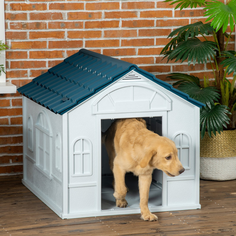 Shelter house store for dogs